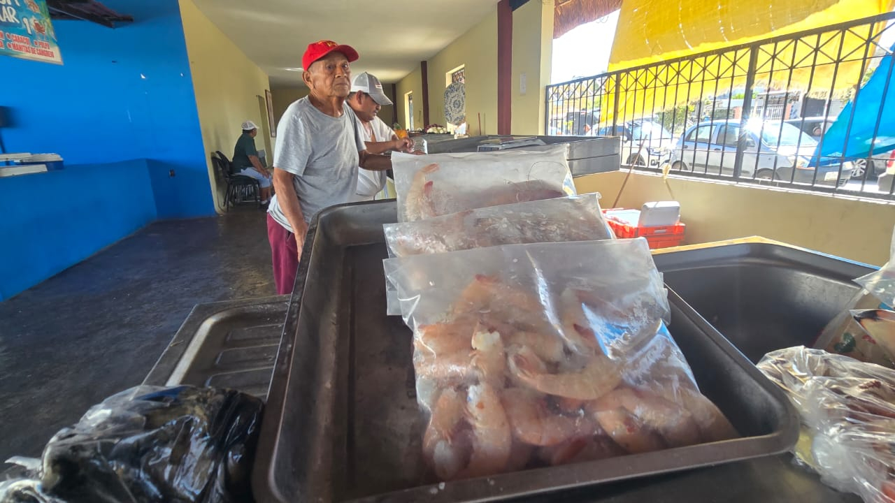 Pesca de camarón enfrenta incertidumbre por bajas capturas y veda