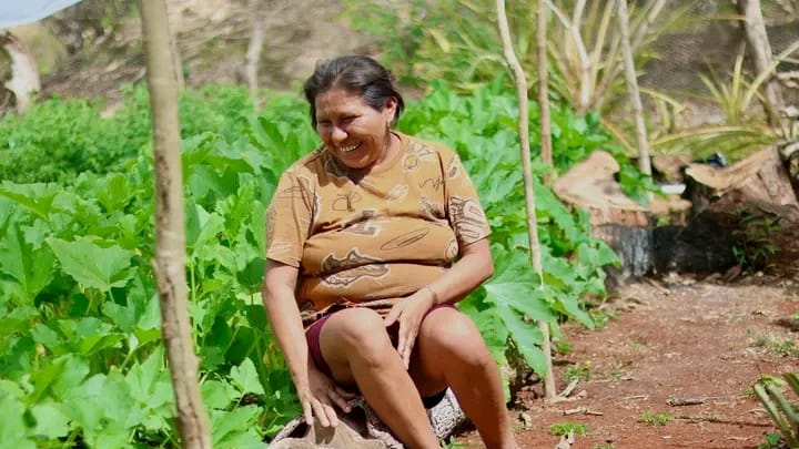 Programa estatal impulsa la producción de traspatio de alimentos y brinda ingresos extra