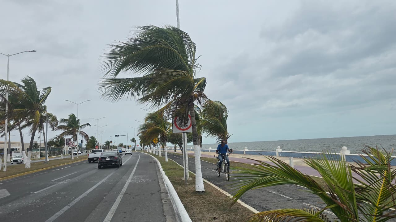 Persistirán vientos fuertes y tormentas eléctricas en los próximos días.