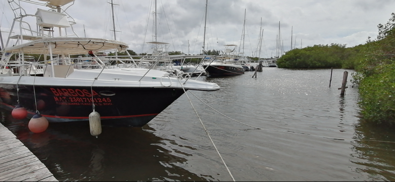 Cancelaron viajes de última hora al Parque Nacional Isla Contoy y pospusieron actividades de buceo.