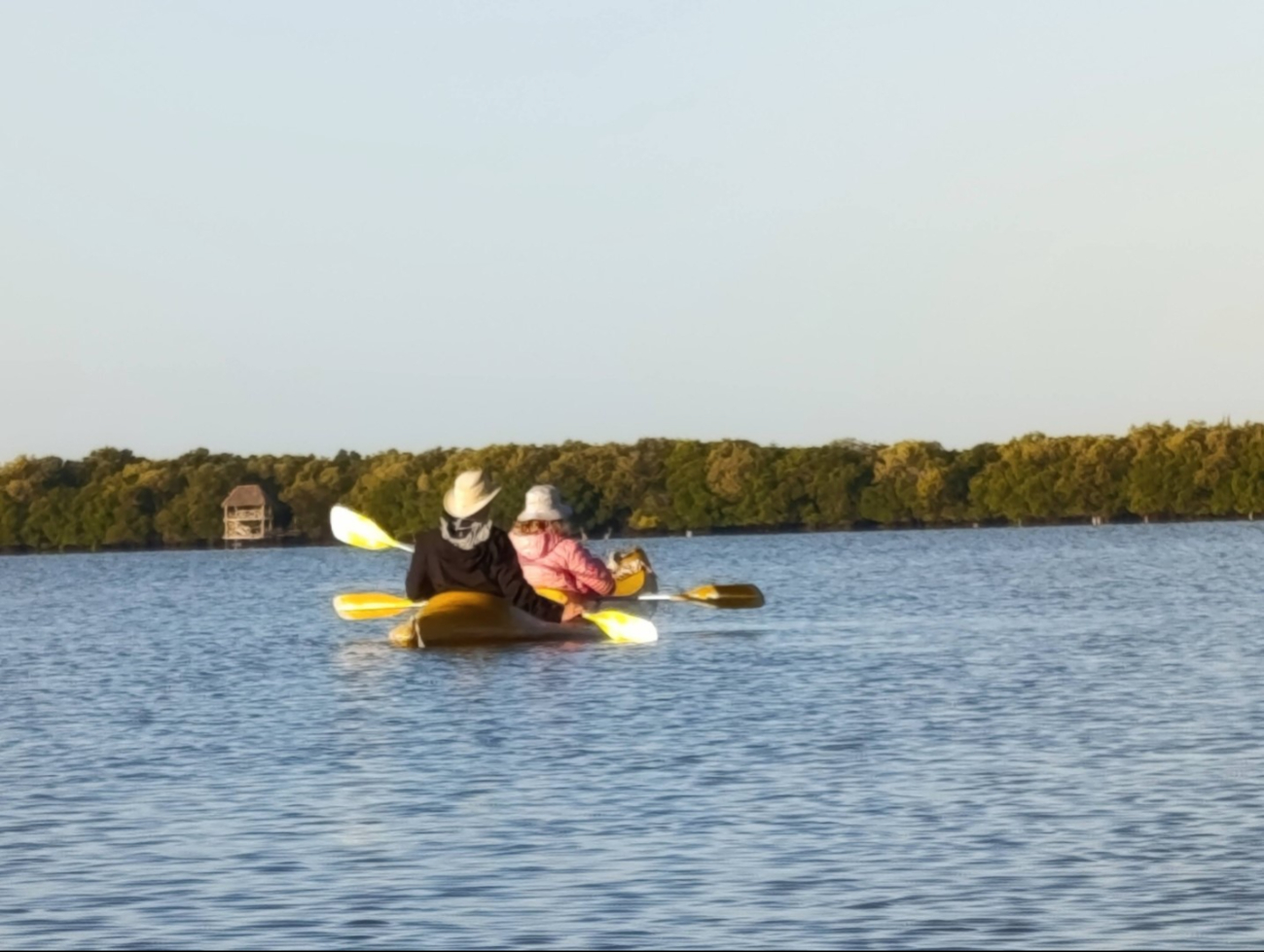 Entre manglares y silencio, el kayak en Isla Arena se vuelve inolvidable