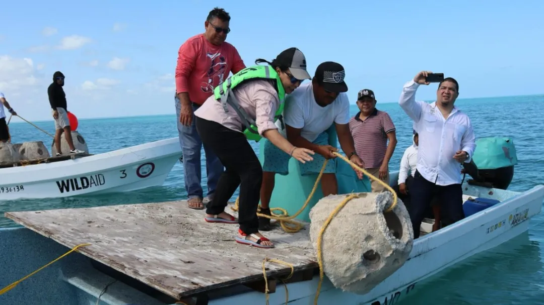 Instalan 30 arrecifes artificiales frente a la costa de Río Lagartos, en Yucatán
