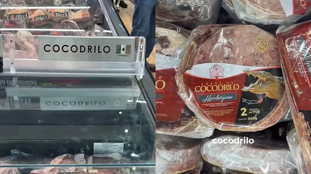 ¿Comerías cocodrilo? Nuevo supermercado en Mérida vende hamburguesas exóticas