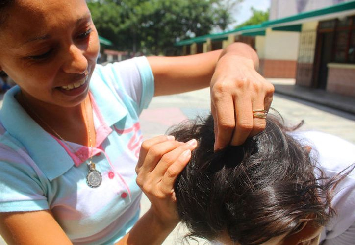 Cancún reporta brotes de piojos en escuelas durante la temporada de calor.
