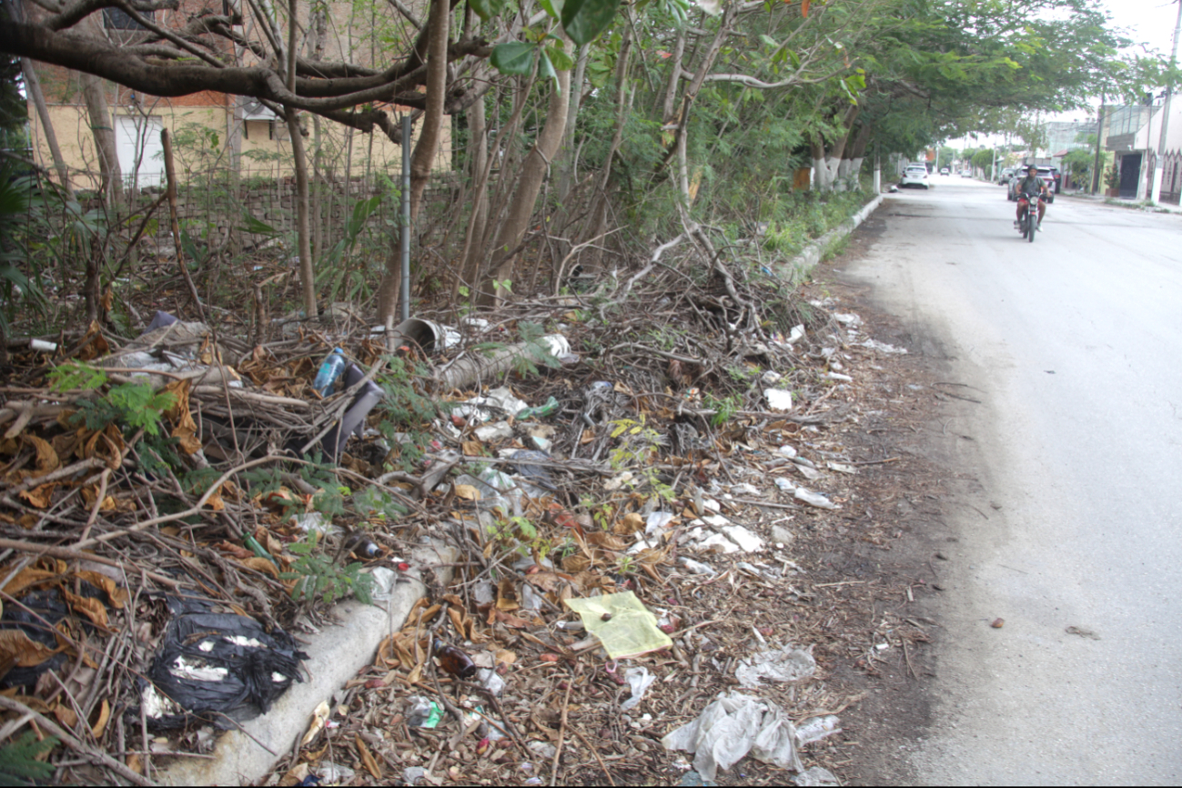 Vecinos de la colonia Brigsa dijeron que algunas áreas verdes son tiraderos clandestinos
