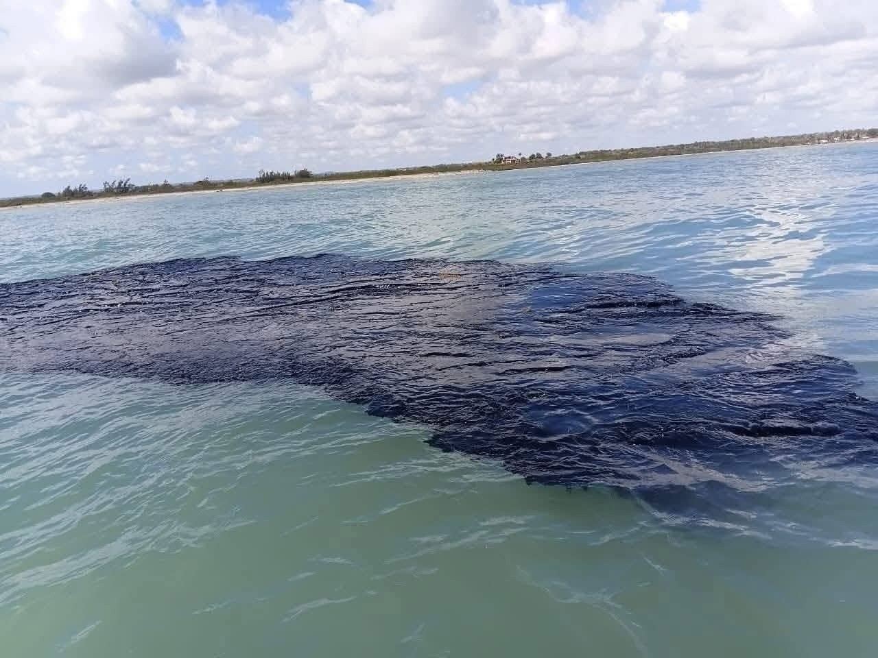 Corrientes podrían estar llevando contaminación hacia Campeche.