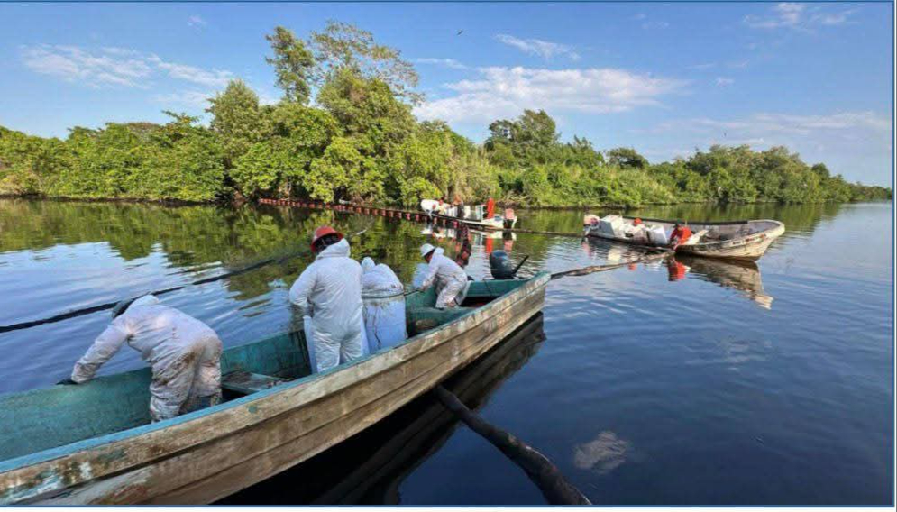 Fauna marina podría verse afectada, especialmente tortugas en temporada de anidación.
