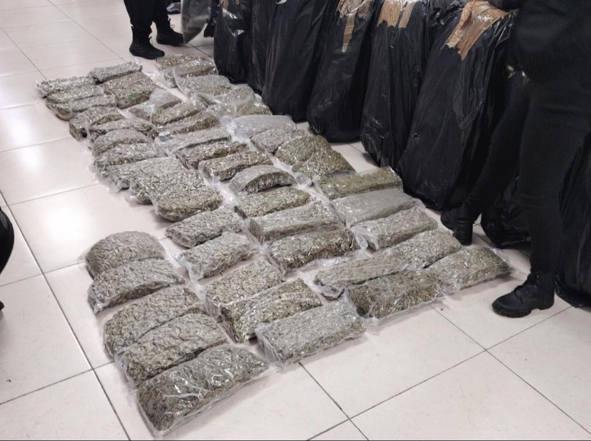 Se encontraron dosis de presunta marihuana.