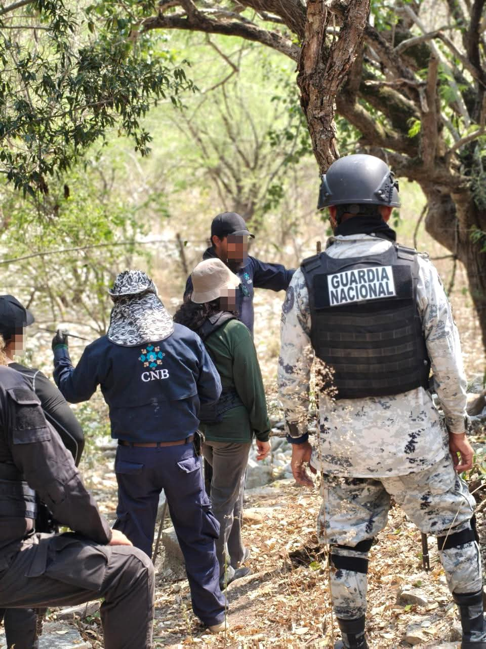 Gobierno federal impulsa nuevas medidas de búsqueda.