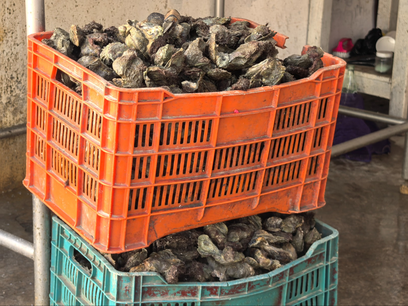 Producción en Ciudad del Carmen se mantiene segura.