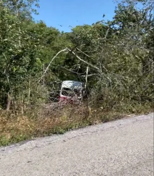 Recuerdan accidente reciente al intentar esquivar un animal.