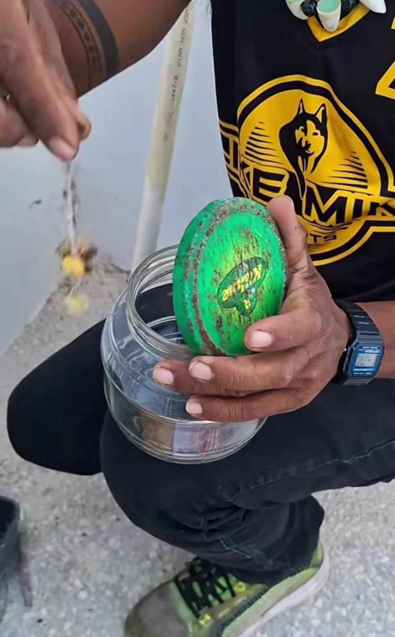 El ejemplar fue capturado y reubicado por un especialista.