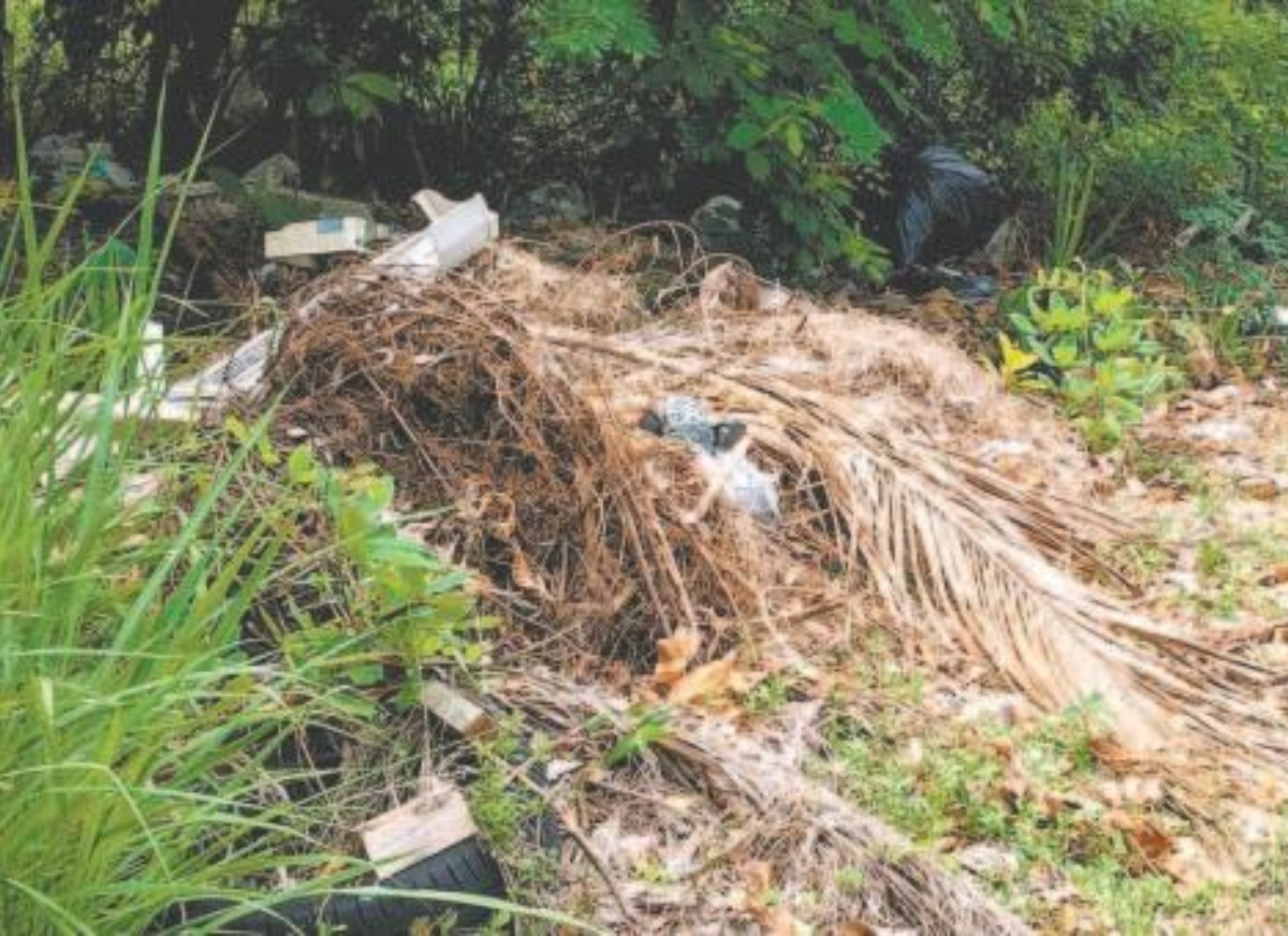 Basura abandonada en el boulevard Bahía de Chetumal.