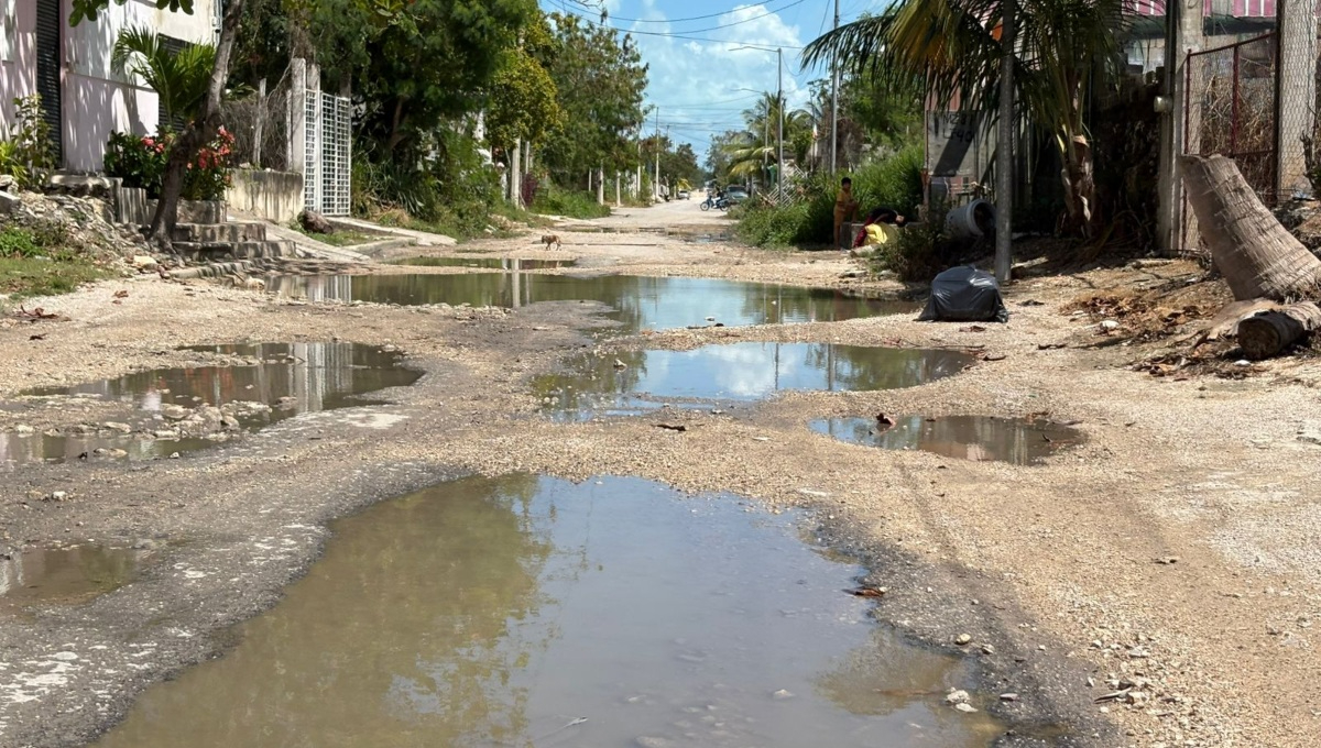 Calle Francisco Gonzáles Boca Negra es un riesgo sanitario para los vecinos.