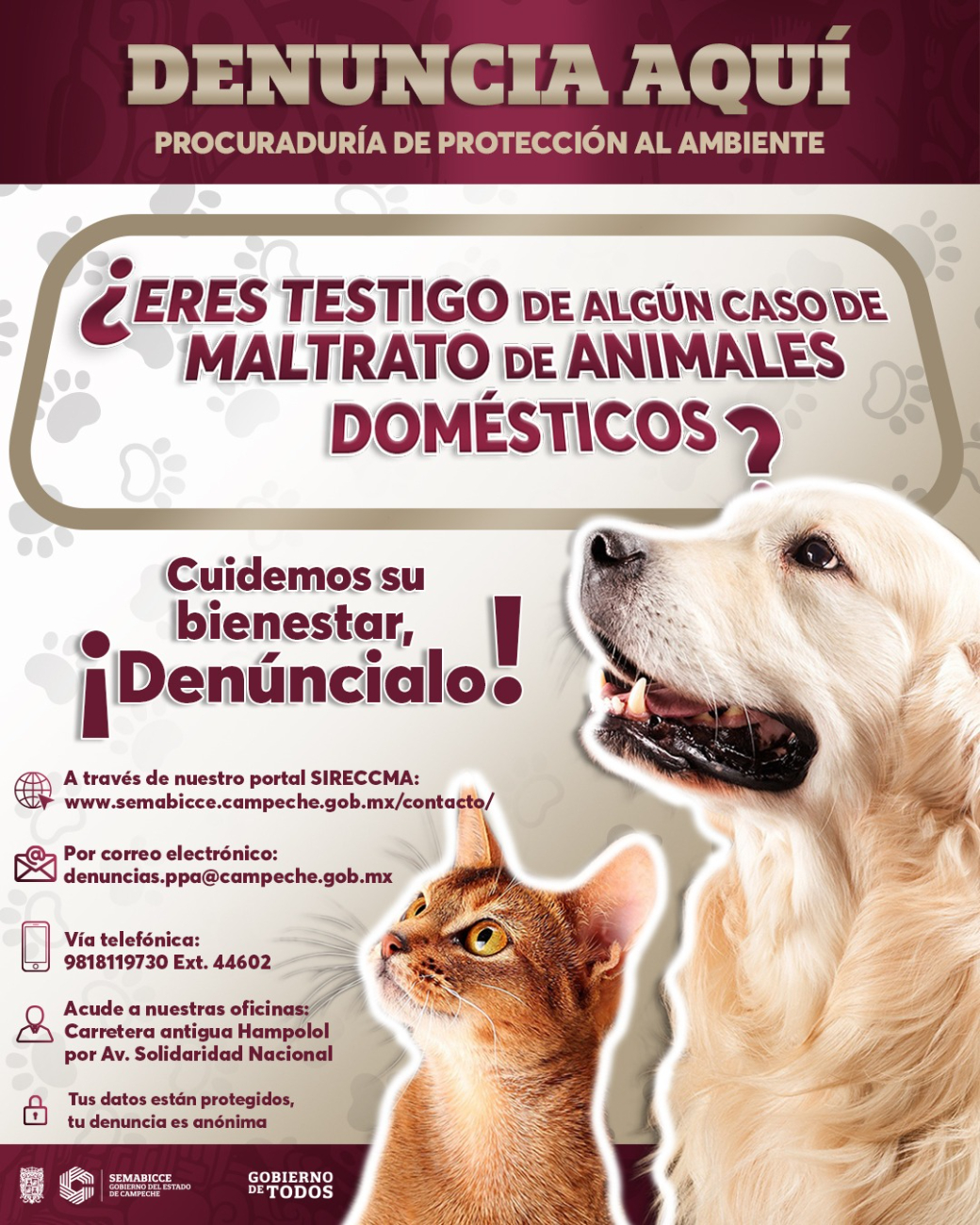 Las denuncias pueden hacerse en línea, por correo, teléfono o de manera presencial.