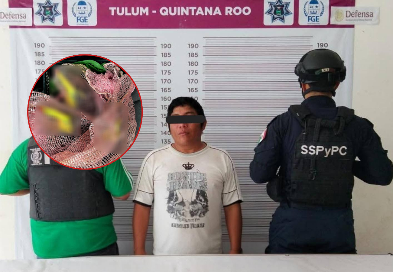 Detienen a un hombre por posesión de tres tucanes en Tulum