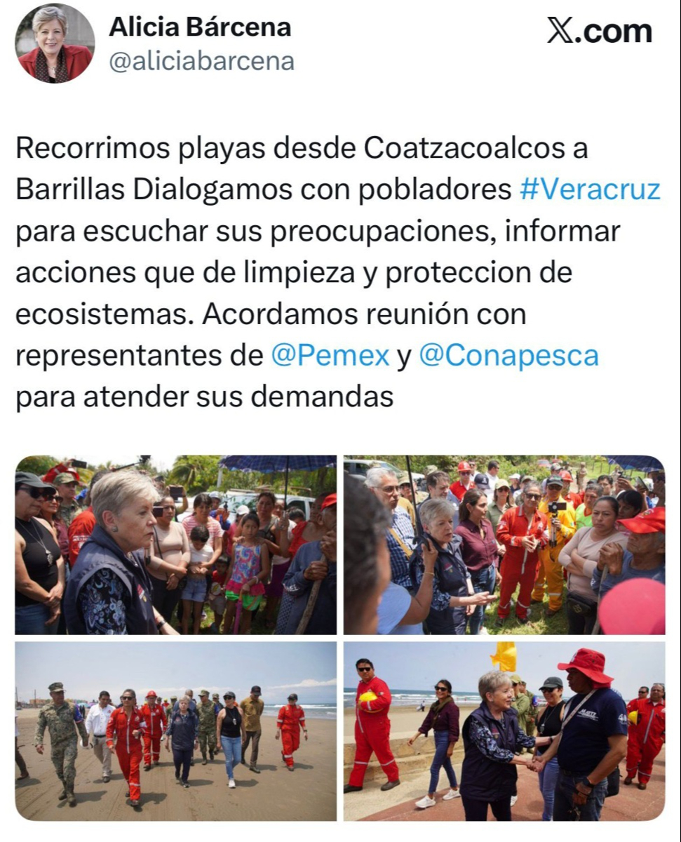 Alicia Bárcena en redes sociales.