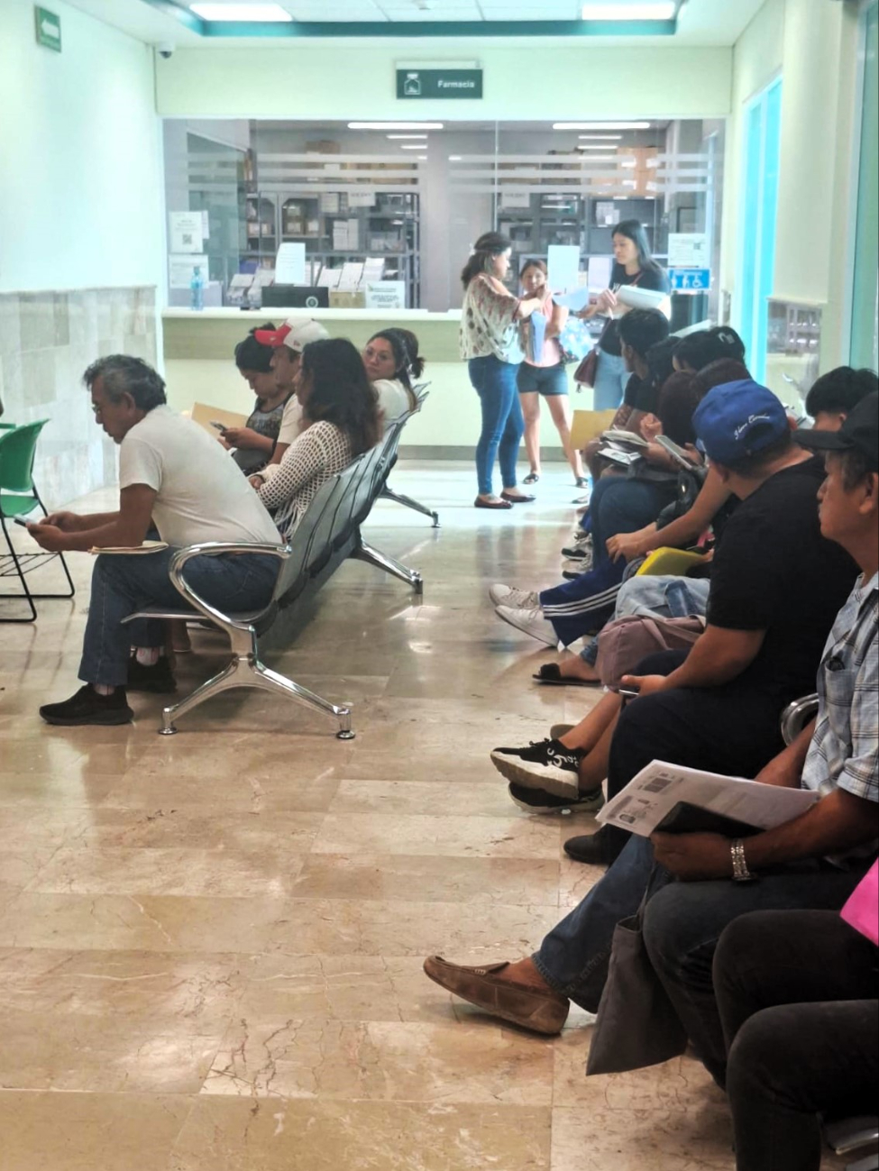 El Gobierno comentó que José María Morelos, Cozumel y Bacalar se mantienen sin diagnósticos, mientras que Cancún, Playa y Othón P. Blanco concentran el 83% de los confirmados.