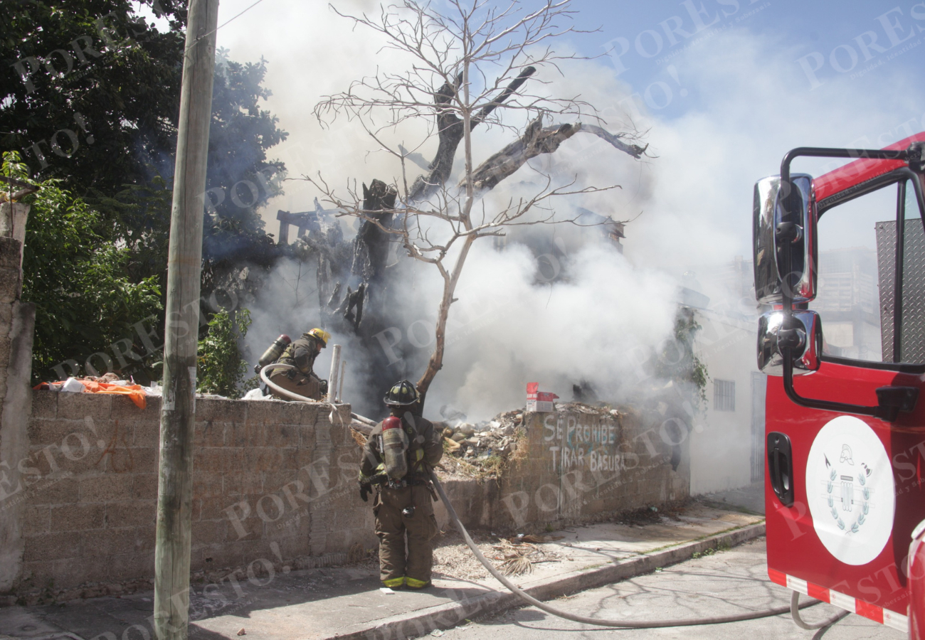 Las llamas se propagaron rápidamente y alcanzarán un árbol que ya estaba hecho carbón por otros incendios