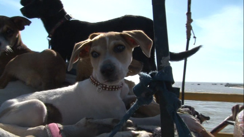 Activistas piden no quedarse solo en redes sociales y formalizar denuncias.