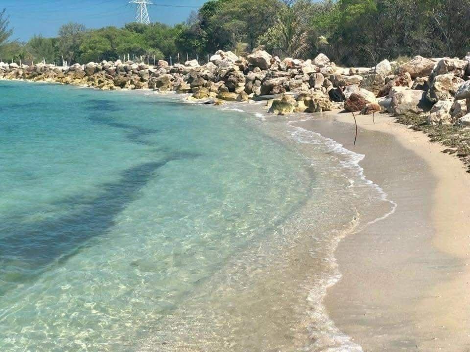 El área es utilizada para anidación de tortugas marinas y labores de conservación.