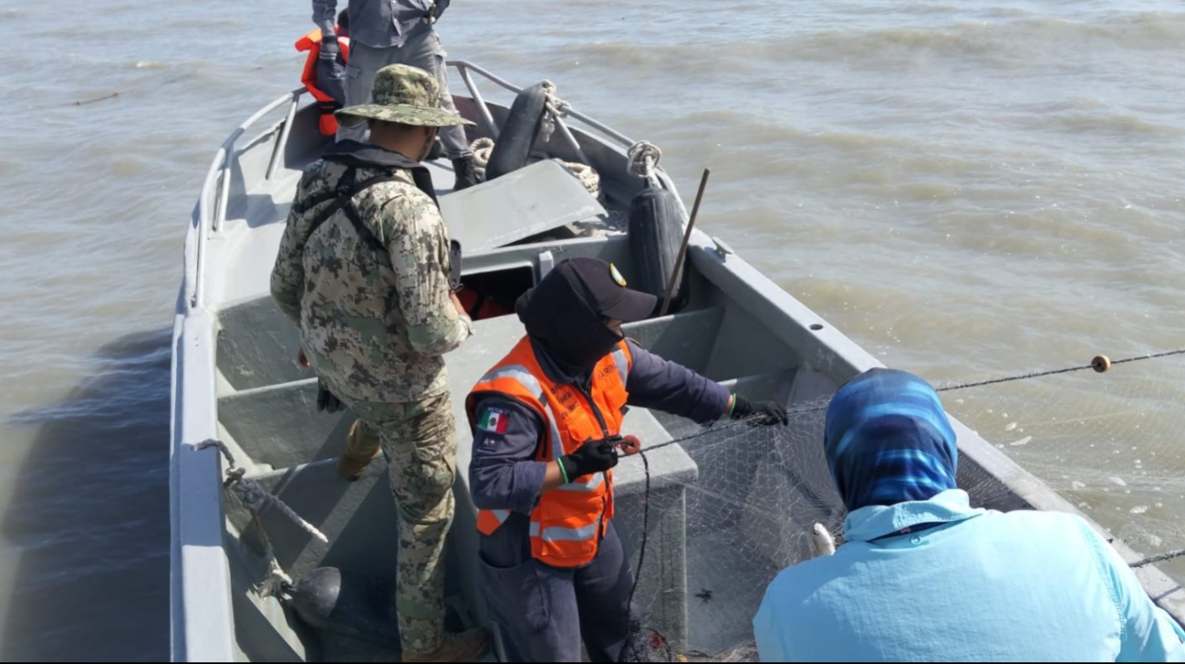 Detectaron uso de métodos no permitidos y falta de documentación.