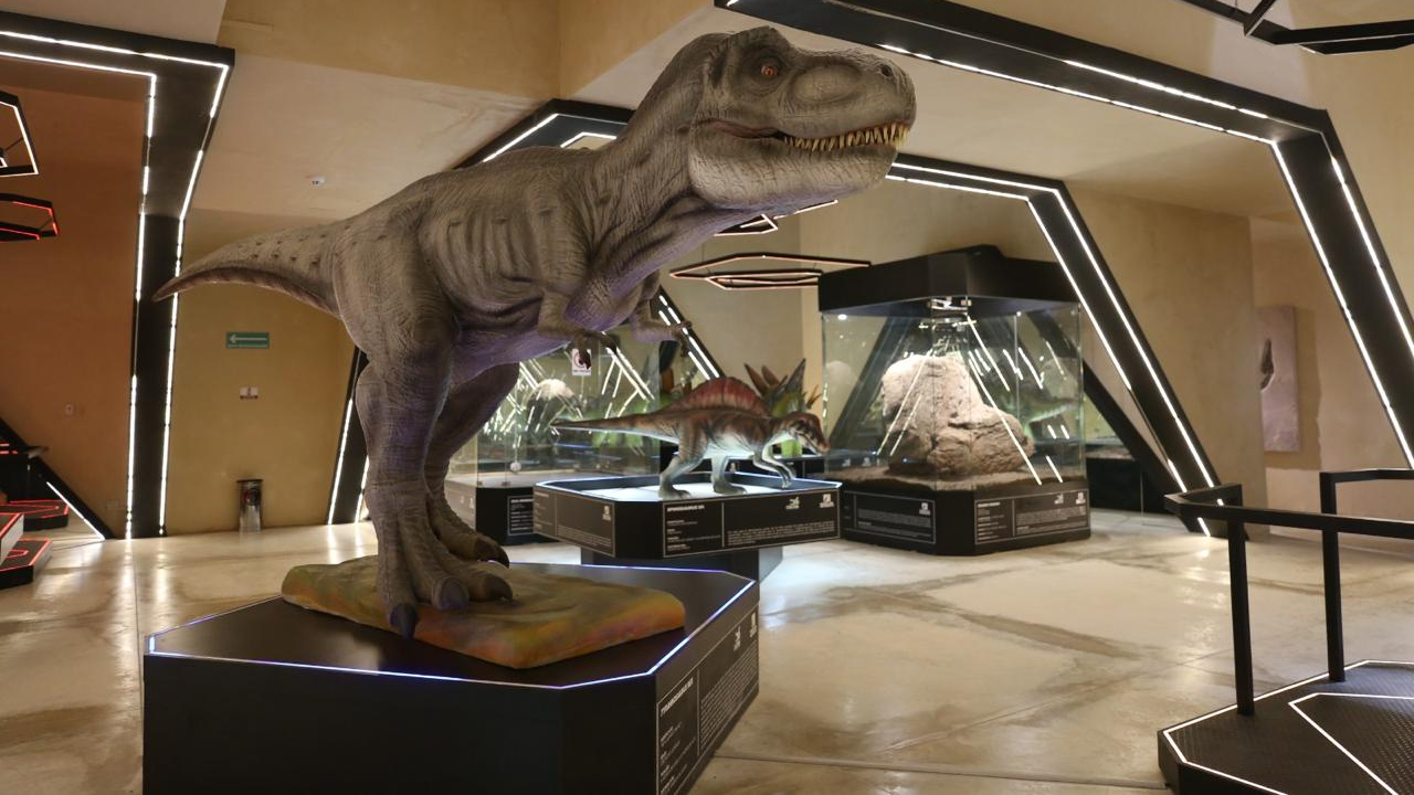 El Corchito y Museo del Meteorito superan 42 mil visitas en el primer trimestre