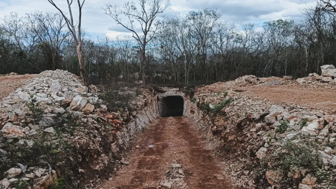 Proyecto sin permisos afecta selva y cenote en Abalá, Yucatán