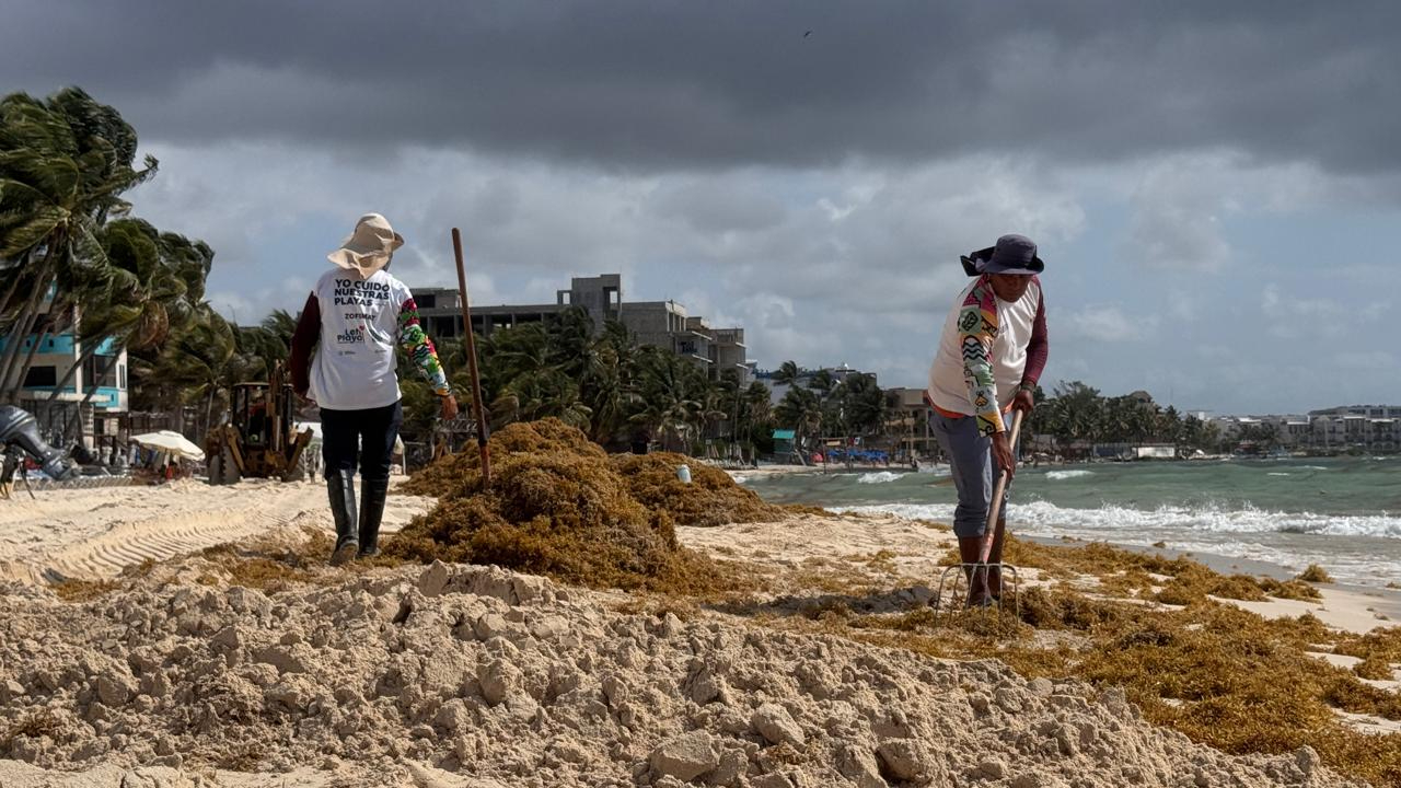 Autoridades aseguran que playas están limpias, según redes sociales.