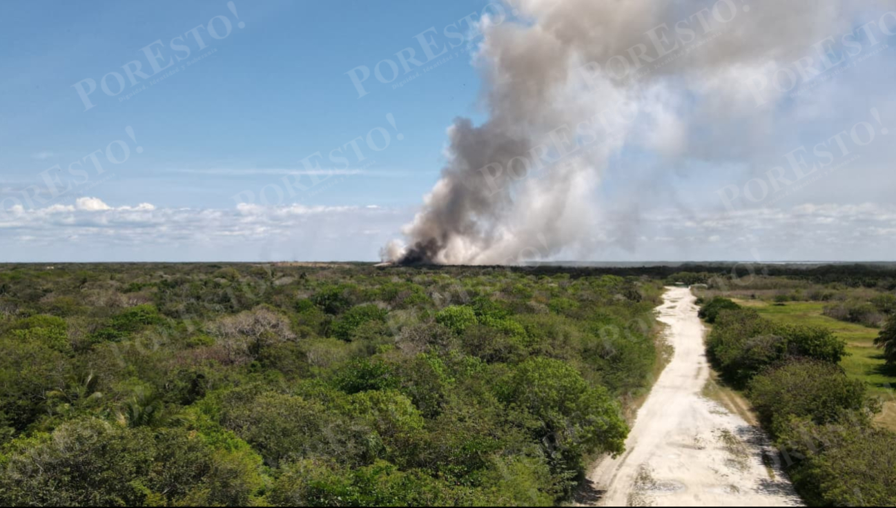Columna de humo reduce visibilidad en la carretera 180.