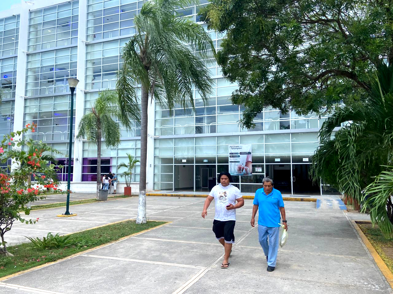 La enfermedad de la mosca chiclera provoca lesiones en zonas expuestas del cuerpo, que pueden dejar cicatrices permanentes o generar discapacidad grave