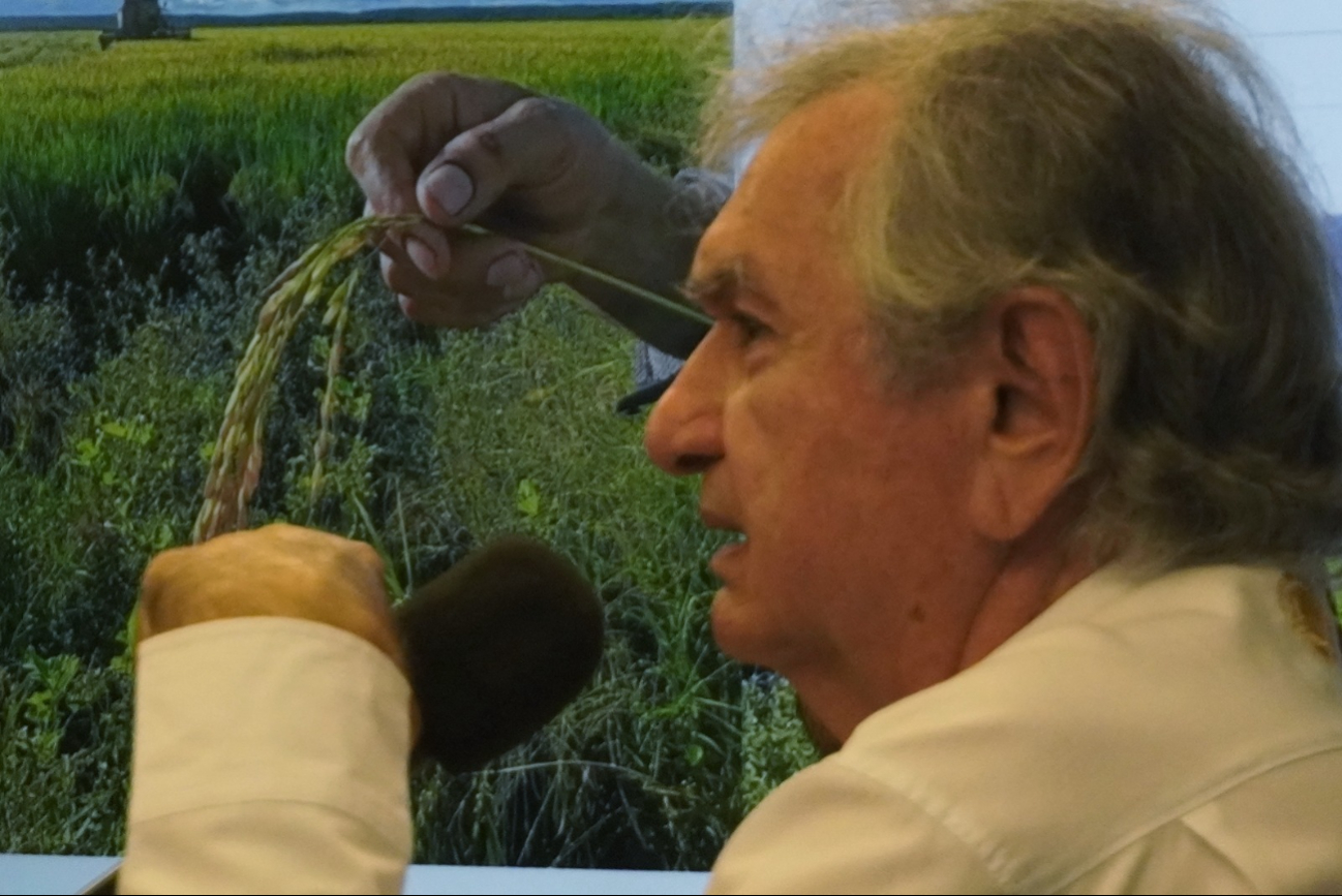 Autoridades los vinculan con desmonte ilegal e incendios forestales.