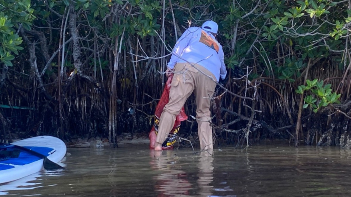 Residuos orgánicos marinos podrían ser nueva materia prima de valor