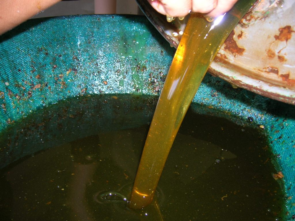 Apicultores reportan buena producción.