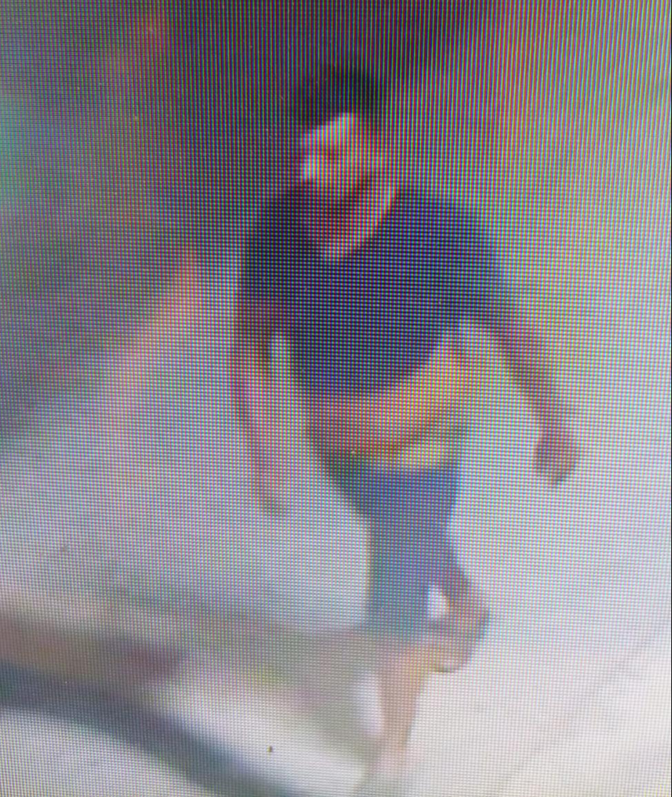 Vecinos identifican al presunto responsable.