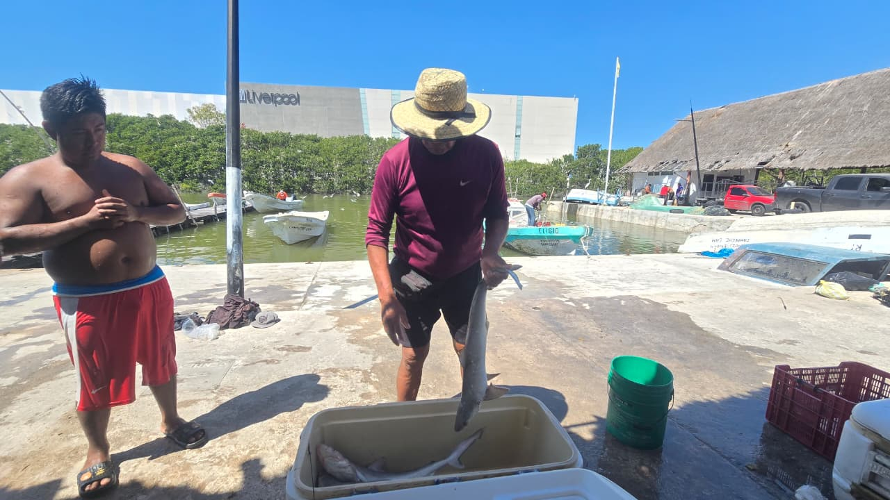 Llegaron con secuelas físicas y emocionales debido a la agresión.