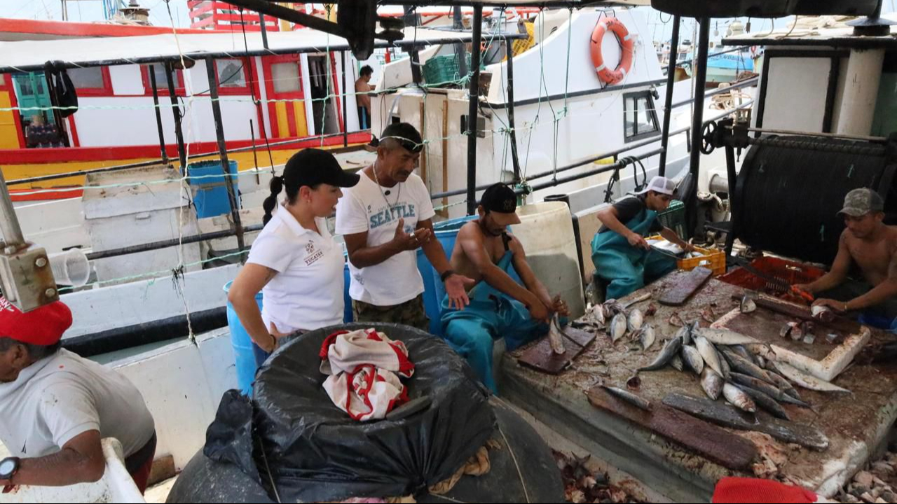 Más de tres mil lanchas del Oriente del estado se quedan en tierra debido a las fuertes brisas marinas