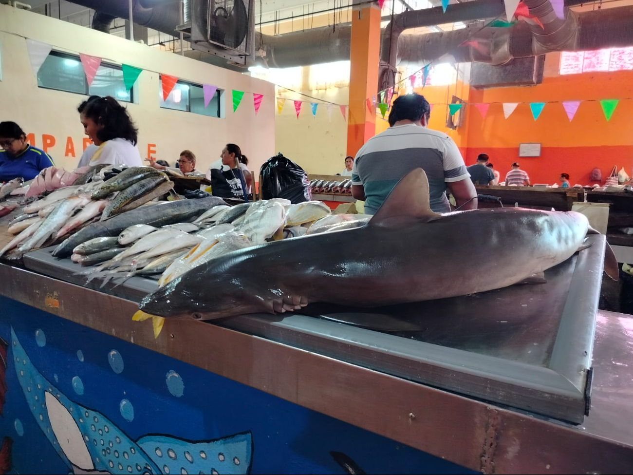 Pandemia y pérdida de tradición afectan venta de pescado