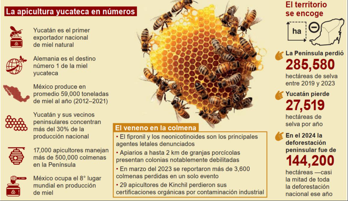 Las abejas no pueden esperar: la urgencia de salvar la apicultura peninsular