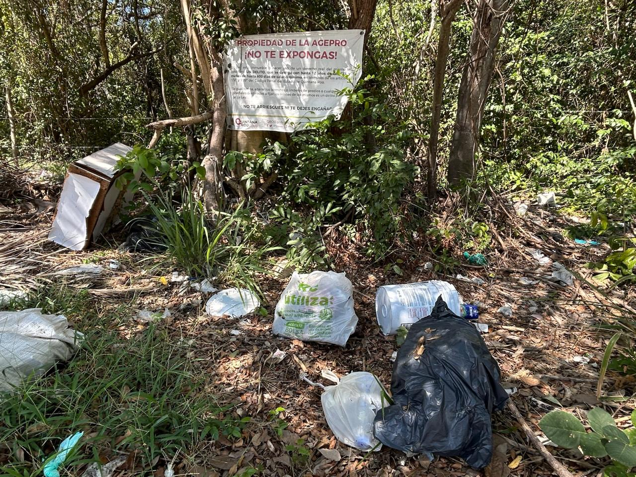 Basura y escombro invaden predio en Supermanzana 50