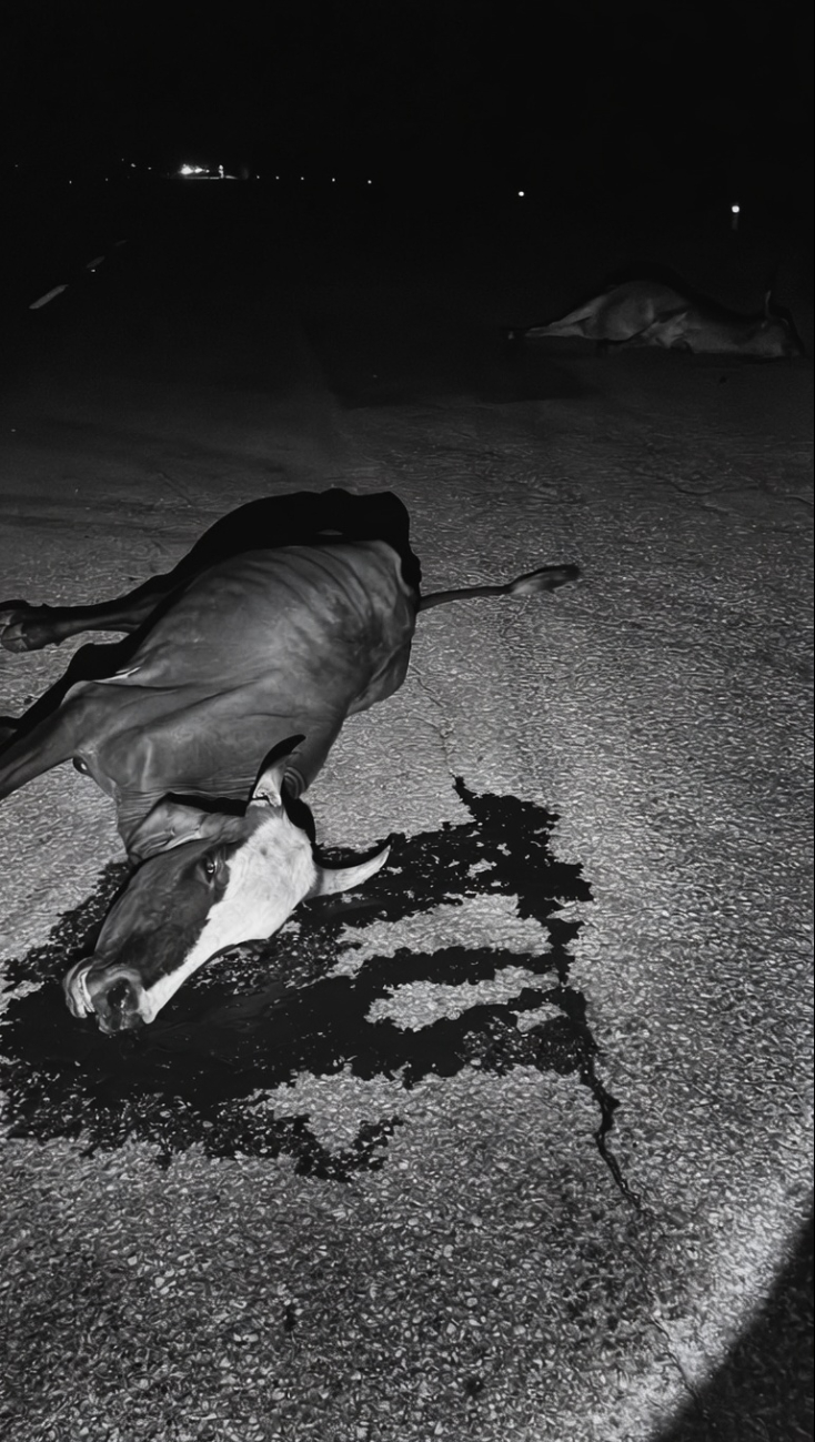 Otro vehículo se salió de la carretera al intentar esquivarlos.