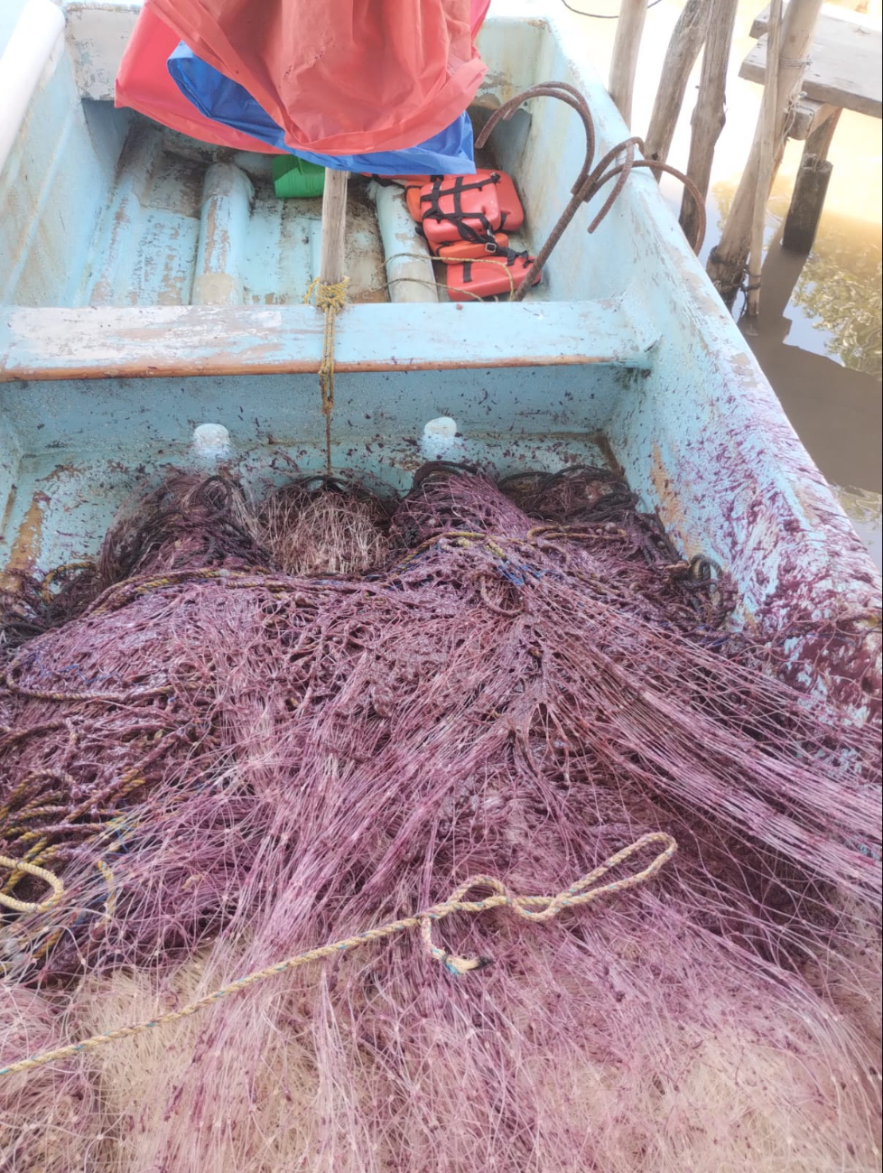 La afectación ocurre en zonas cercanas a Punta de la Disciplina y Los Mechones.
