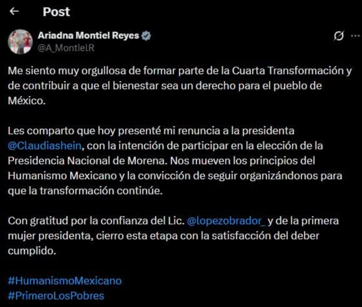 Ariadna busca participar en la elección de la Presidencia Nacional de Morena.