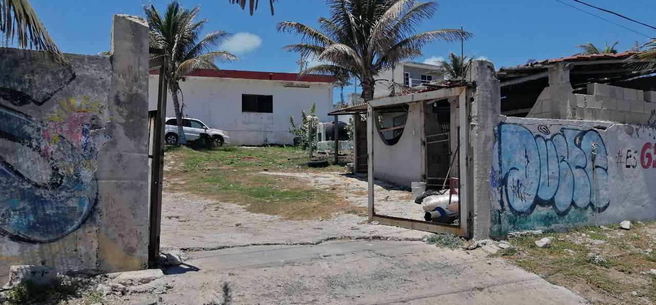 Con una inversión propia de $80 mil, tablajeros colocarán paneles solares en el sitio