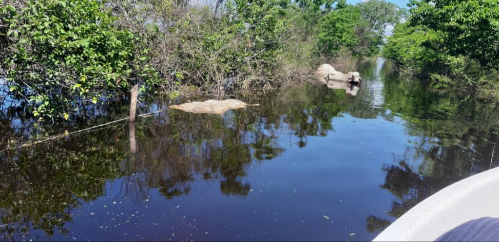 Muchos habitantes dejaron la ganadería y migraron a la agricultura.