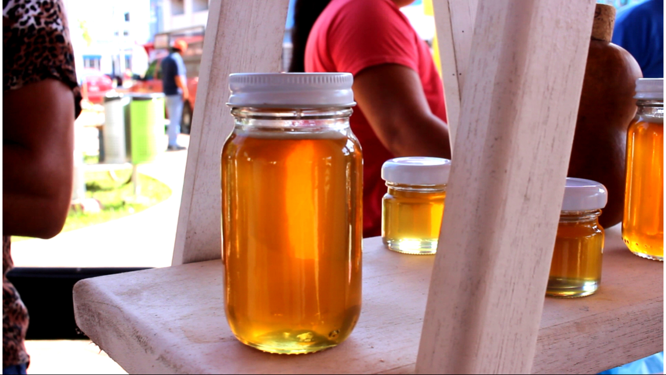 Alertan por proliferación de miel falsificada en la zona maya de José María Morelos.