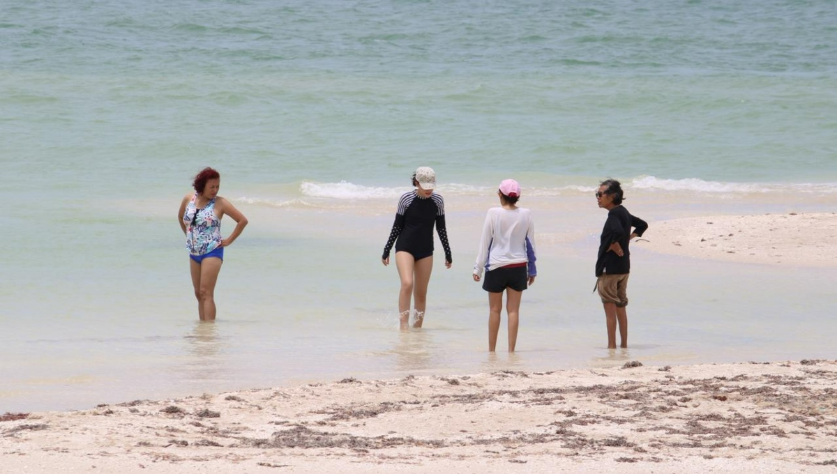 El litoral yucateco no presenta alta concentración de sargazo ni rastro de hidrocarburos