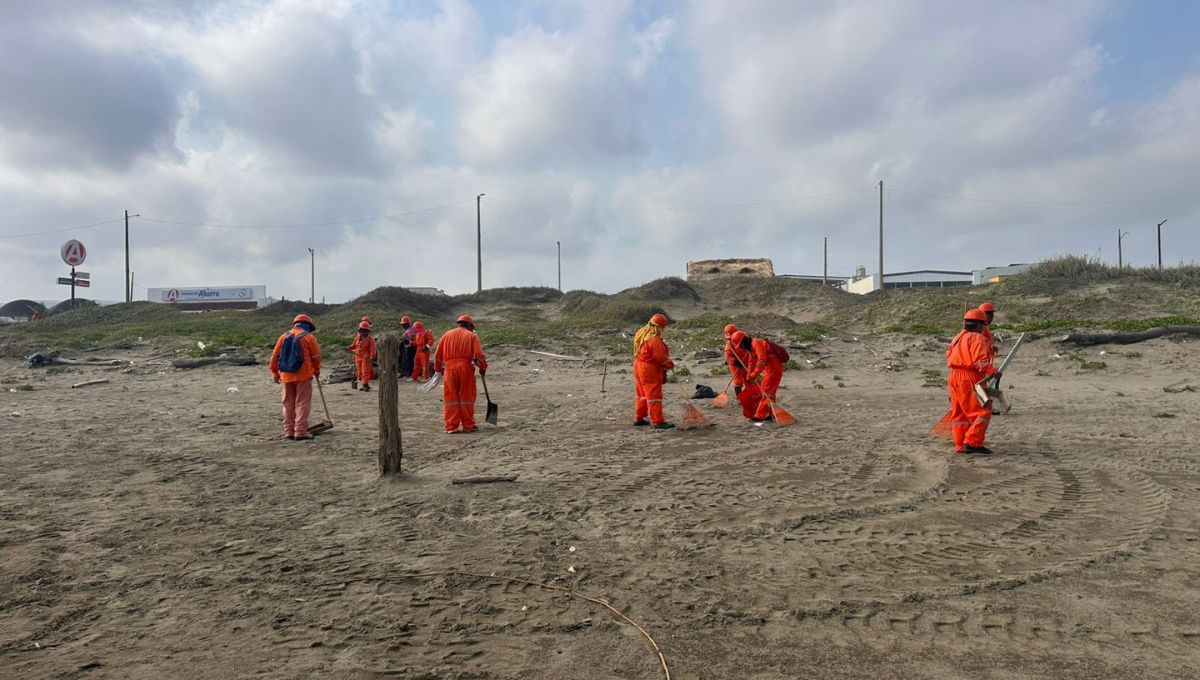 Petróleos Mexicanos informó que ha desplegado a 780 trabajadores en labores directas de limpieza