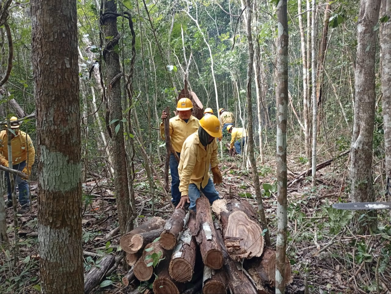 Atienden incendios en la región y apoyan en Calakmul si es necesario.
