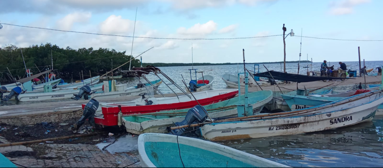 Solo el 20 por ciento del padrón de las cooperativas permanece activo